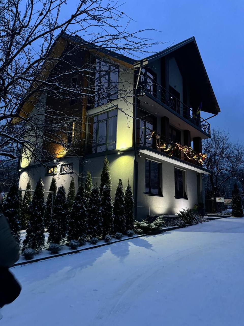 Villa Girske Povitria 2 Jaremtsche Exterior foto