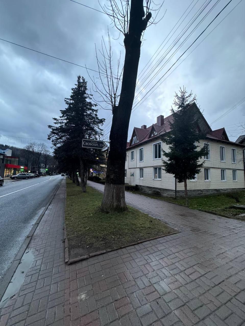 Villa Girske Povitria 2 Jaremtsche Exterior foto